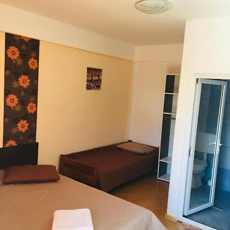 Casa Tudor 3* 科斯蒂内什蒂