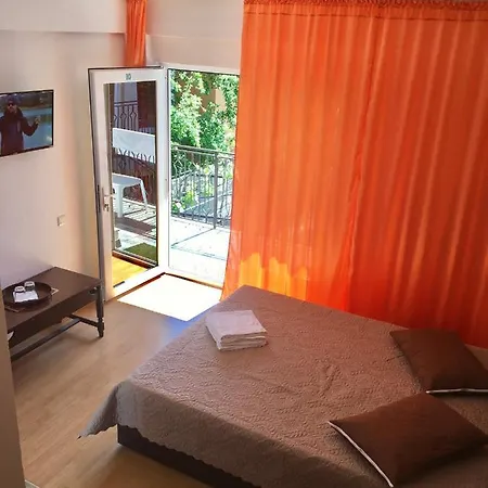 Casa Tudor 科斯蒂内什蒂