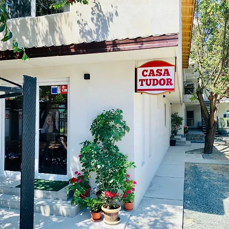 Casa Tudor 科斯蒂内什蒂