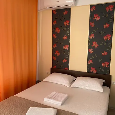 Casa Tudor 招待所 3*