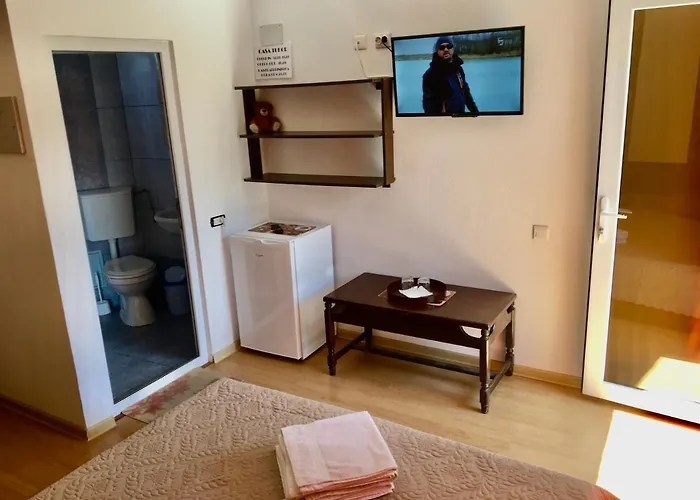 Vendégház Casa Tudor